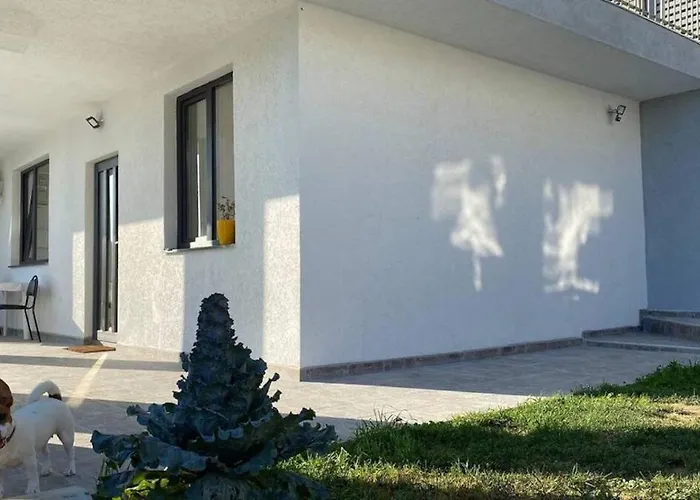 Lola Seaview Guest House. Уютный Домик В Варне