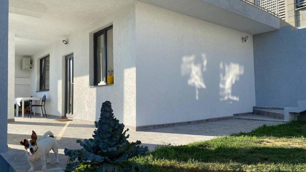 Lola Seaview Guest House. уютный домик в варне Villa *